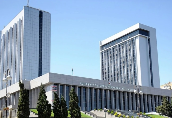 В парламентском комитете обсудили нападение армян на азербайджанцев
