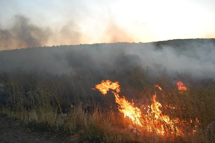 В Лерике вспыхнул лесной пожар