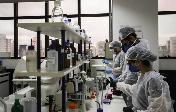В Бразилии обнаружили новую разновидность «свиного гриппа»