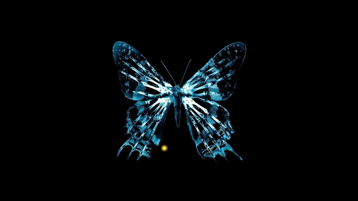 Американские ученые опровергли существование «эффекта бабочки»
