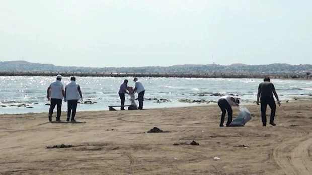На прибрежных территориях Каспия проведены работы по очистке и благоустройству - ВИДЕО