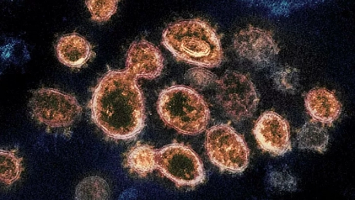 Объяснена необычная особенность коронавируса