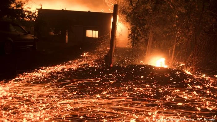 В Калифорнии ввели режим чрезвычайной ситуации из-за пожаров в пяти округах