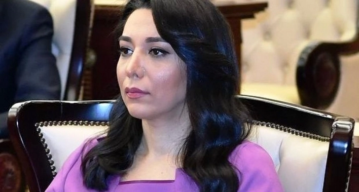 Омбудсмен попросила ГЭЦ Азербайджана упростить условия поступления в вузы