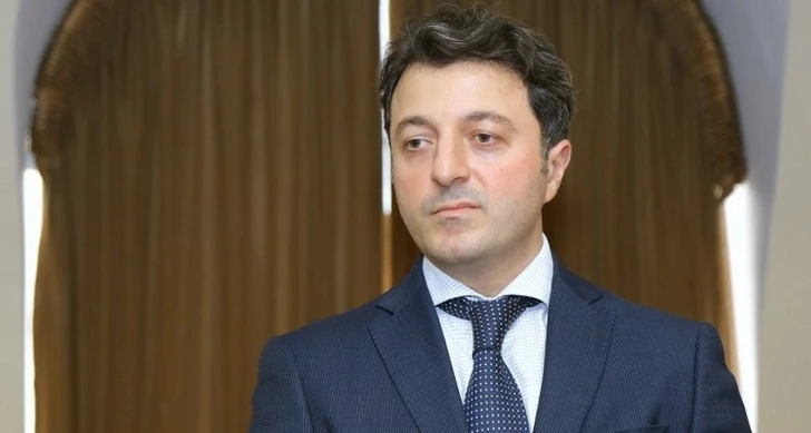 Турал Гянджалиев заставил промолчать армянского адвоката на заседании ПАСЕ