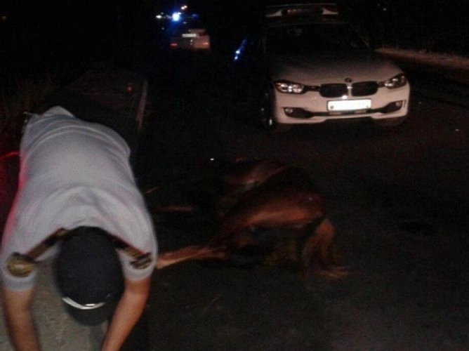 В Ширване автомобиль сбил мужчину верхом на коне