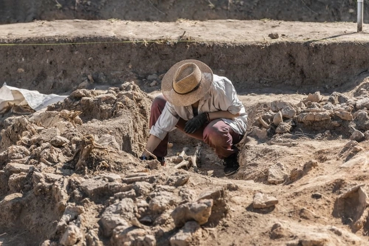 В Турции найдены уникальные артефакты древнего «государства коз»
