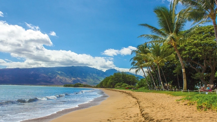 Власти Гавайских островов планируют отменить карантин для туристов