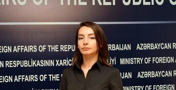 Лейла Абдуллаева: Армения до сих пор игнорирует требования резолюций Совбеза ООН - ФОТО