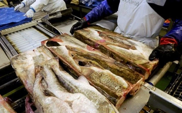 В Китае впервые обнаружили образцы живого коронавируса на упаковке замороженной рыбы