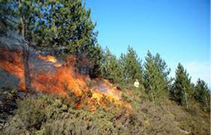 В Шахдагском национальном парке произошел пожар
