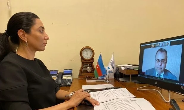 Омбудсмен провела встречу с Владимиром Школьниковым в формате видеоконференции