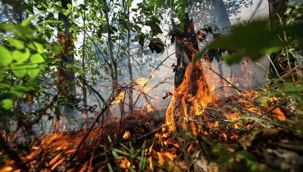 Вспыхнувший в результате армянского обстрела пожар в лесу Геранбоя потушен