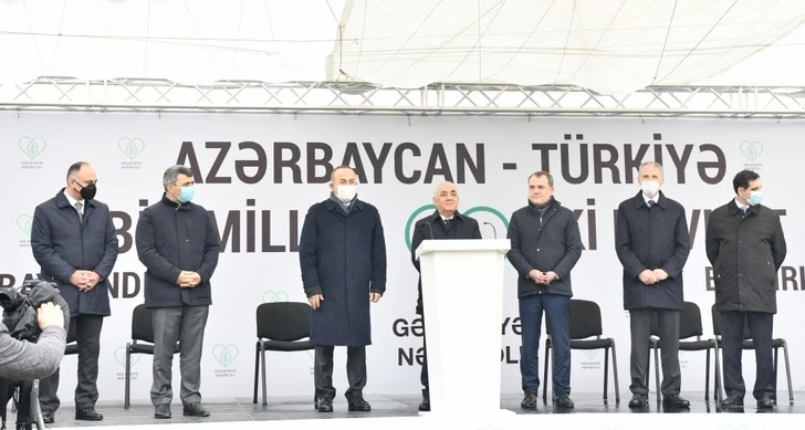 Премьер-министр Азербайджана принял участие в международной акции по посадке деревьев – ФОТО