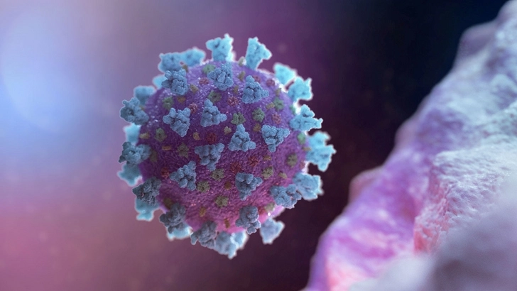 Ученые нашли слабое место коронавируса