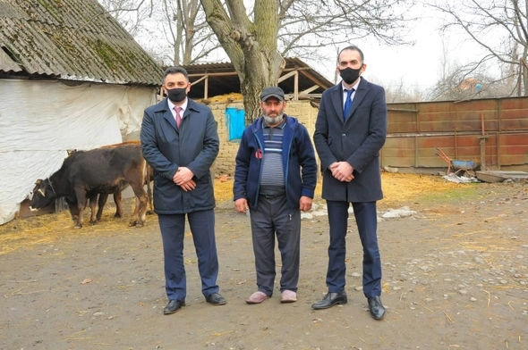 В Огузе и Габале созданы хозяйства для ветеранов и семей шехидов – ФОТО