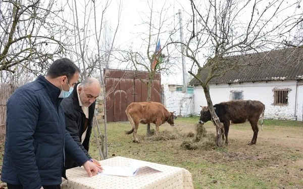 В Азербайджане созданы фермерские хозяйства для семей шехидов и участников войны - ФОТО