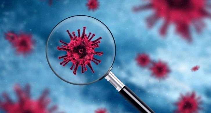 Профессор Мубариз Алиев: Нужно научиться жить с новым коронавирусом