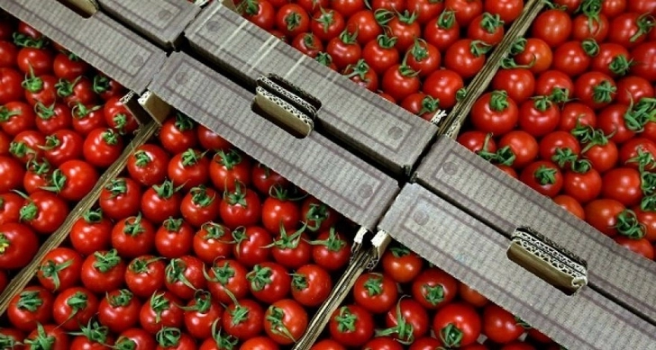 Еще 15 азербайджанских предприятий смогут ввозить томаты в Россию