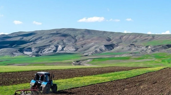 Минсельхоз Азербайджана: В аграрном секторе ожидается рост более чем на 4%