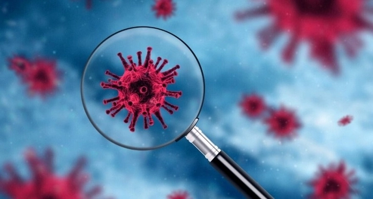 ВОЗ сообщила, что мутировавший вариант коронавируса обнаружили в 22 странах Европы
