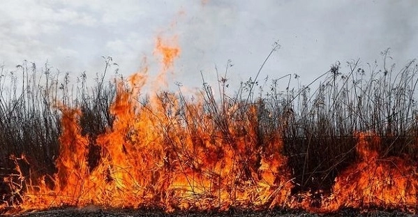 Сильный пожар в Астаре потушен - ОБНОВЛЕНО