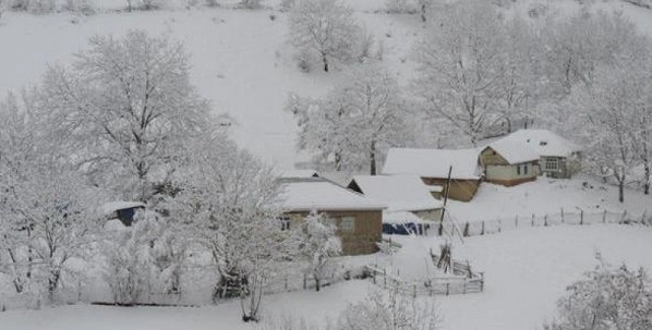 Умайра Тагиева: Самый высокий снежный покров наблюдается в горах Гахского района