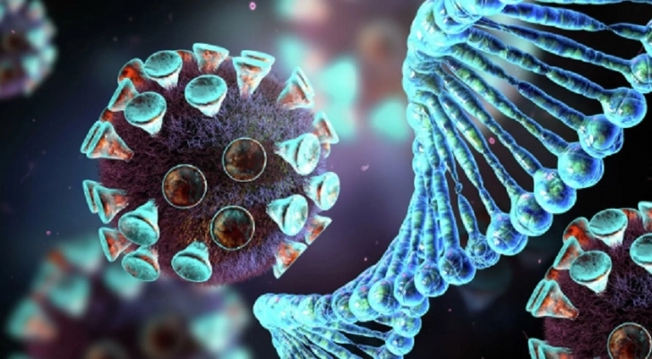 Ученые обнаружили «память» организма на коронавирусы