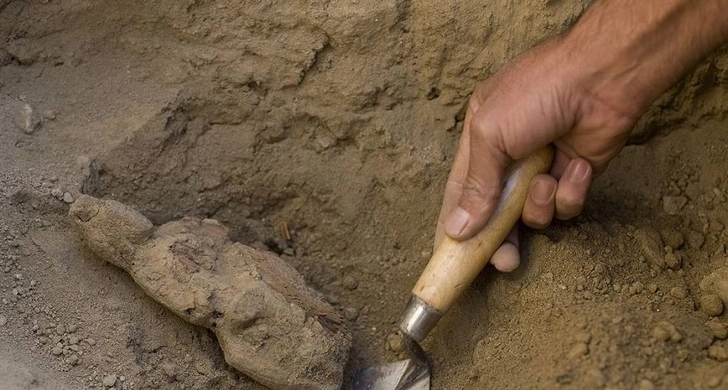 Археологи обнаружили в Китае гробницу четы аристократов возрастом 2,3 тыс. лет - СМИ