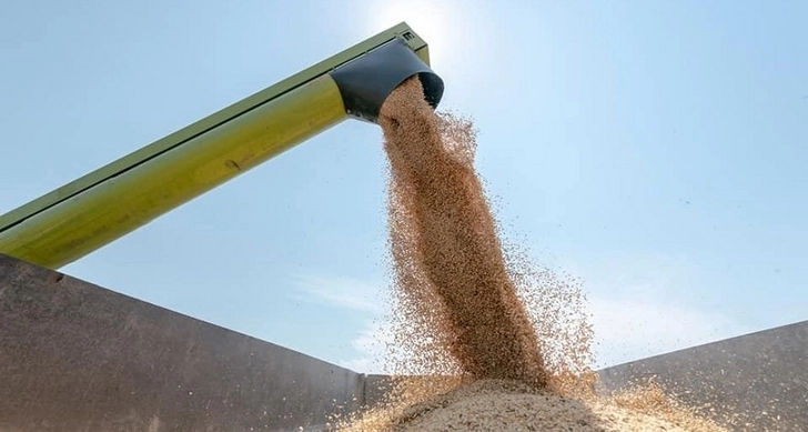 В Азербайджане импорт зерна освобождается от НДС на 3 года