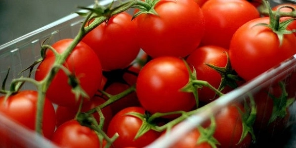 Свыше 50 тонн томатов из Азербайджана не допущены к ввозу на территорию РФ