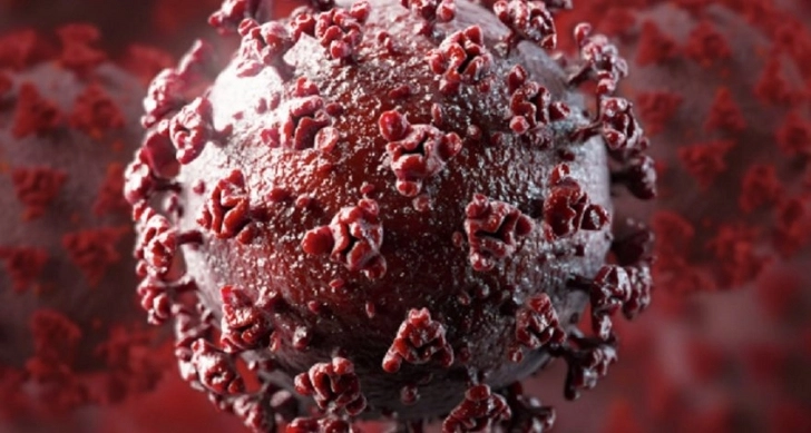 В Норвегии обнаружили новый штамм коронавируса - СМИ