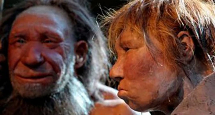 Ученые высказали новую гипотезу вымирания неандертальцев