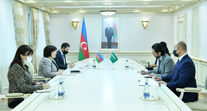 Председатель Милли Меджлиса встретилась с послом Саудовской Аравии в Азербайджане