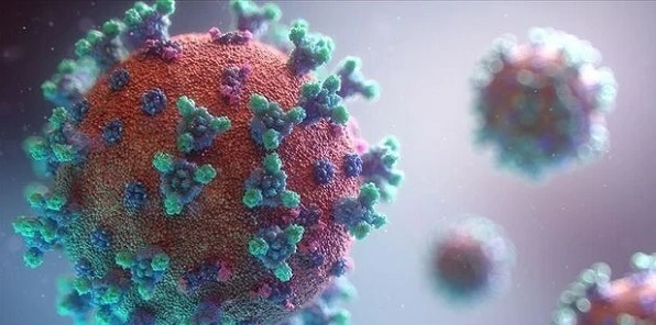В Украине выявили новый штамм коронавируса
