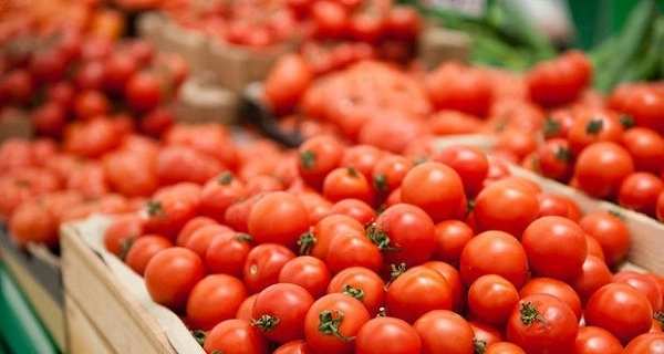 Россия частично отменила ограничения на импорт помидоров из Азербайджана