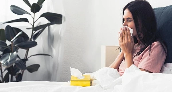 Вызывающий простуду вирус может защитить от COVID-19