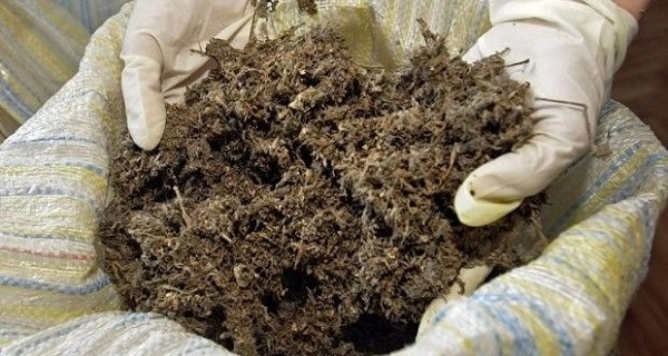 Полиция Билясувара обнаружила закопанные в землю наркотики и оружие