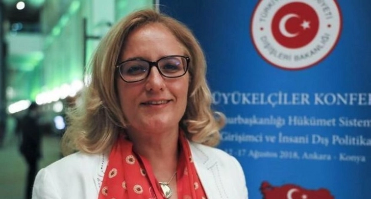 Посол Турции в Грузии ответила на провокацию президента Армении