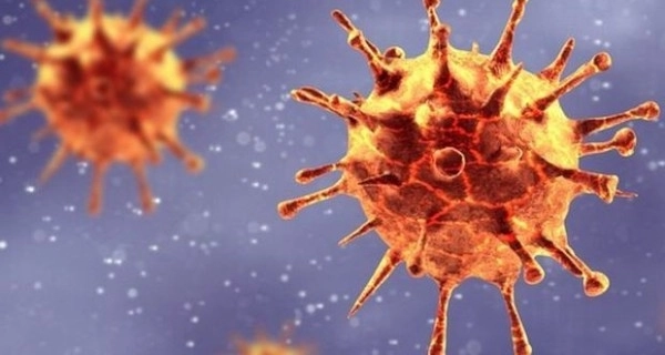 Обнаружен устойчивый к антителам штамм коронавируса