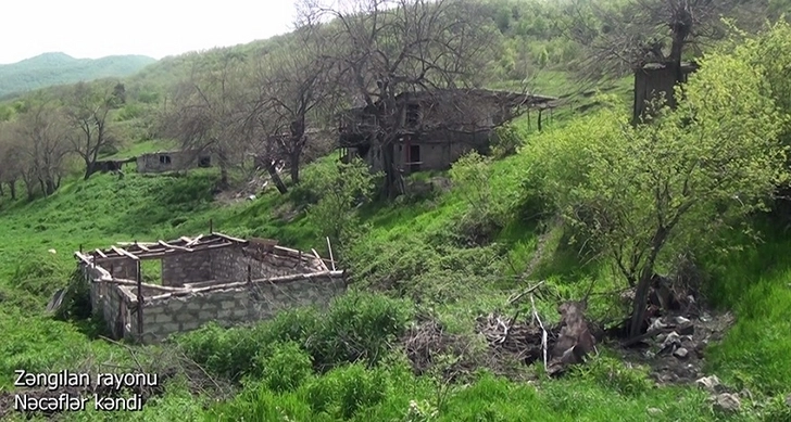 Минобороны Азербайджана показало село Неджефляр Зангиланского района, освобожденного от оккупации - ВИДЕО