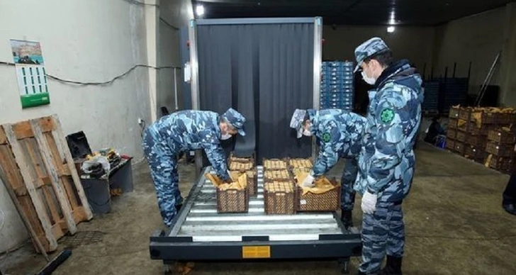 За последние 2 недели из оборота изъято более 730 кг наркотиков - глава ГТК Азербайджана