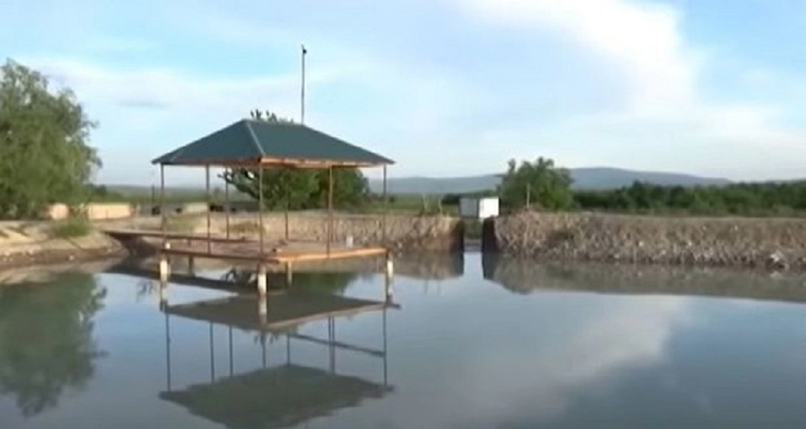 Женившийся месяц назад житель Исмайыллинского района Азербайджана утонул в озере - ВИДЕО