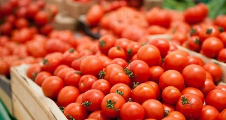 Россельхознадзор разрешил 30 предприятиям Азербайджана поставлять помидоры в Россию