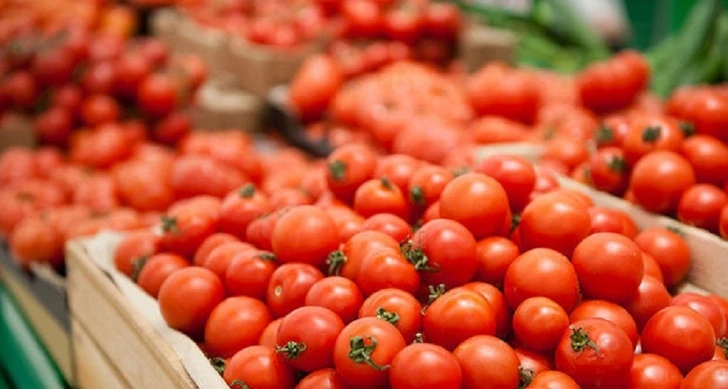 Азербайджан нарастит экспорт томатов в Россию