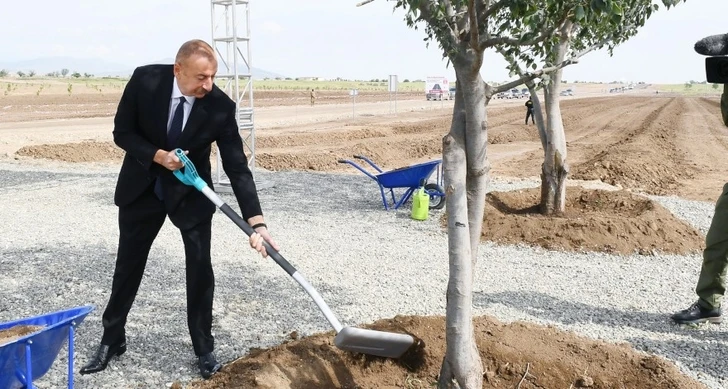 Президент Ильхам Алиев посадил дерево в Агдамском городском лесопарке - ФОТО/ОБНОВЛЕНО