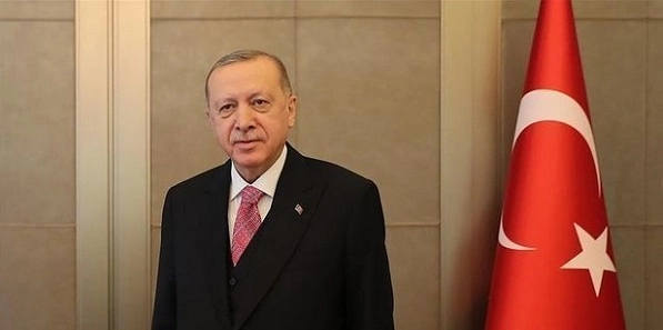 Эрдоган примет делегацию ПЕА