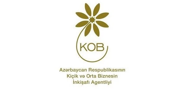 Назначен новый заместитель председателя KOBİA - ФОТО