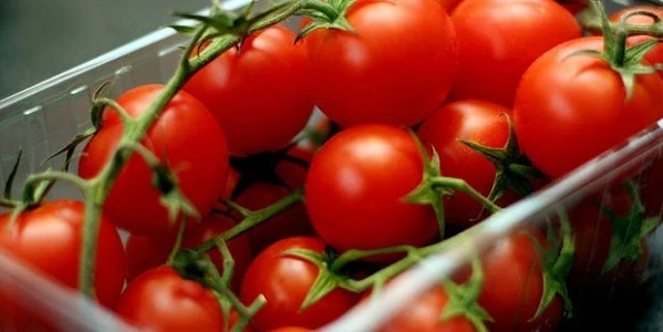 Россельхознадзор разрешил ввоз томатов еще 10 азербайджанских производителей