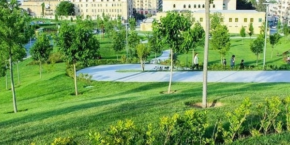 Насколько увеличится территория зеленых насаждений в Баку?
